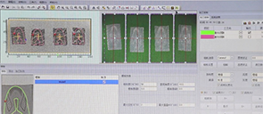 AI visual recognition system